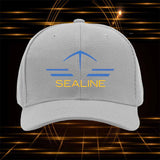 Gorra de Béisbol Unisex para Hombres y Mujeres - Gorra de Camionero Ajustable con Visera Curva, Textura Negra Resistente, Gorra Casual Duradera para Conducir, Camionaje, Juegos (Lavable a Mano)