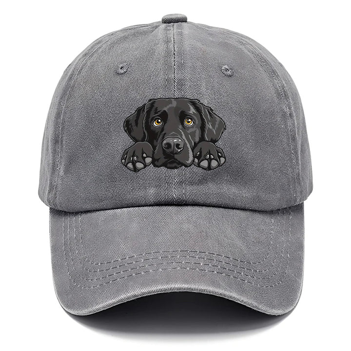 1 Gorra de béisbol con estampado de Labrador Retriever - Gorra snapback ligera, transpirable y ajustable con visera curva, aspecto lavado para mujeres y hombres, regalo de cumpleaños para amantes de los perros