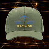 Gorra de Béisbol Unisex para Hombres y Mujeres - Gorra de Camionero Ajustable con Visera Curva, Textura Negra Resistente, Gorra Casual Duradera para Conducir, Camionaje, Juegos (Lavable a Mano)