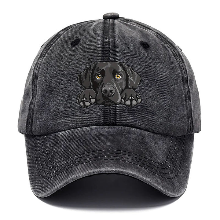1 Gorra de béisbol con estampado de Labrador Retriever - Gorra snapback ligera, transpirable y ajustable con visera curva, aspecto lavado para mujeres y hombres, regalo de cumpleaños para amantes de los perros