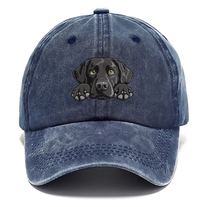 1 Gorra de béisbol con estampado de Labrador Retriever - Gorra snapback ligera, transpirable y ajustable con visera curva, aspecto lavado para mujeres y hombres, regalo de cumpleaños para amantes de los perros