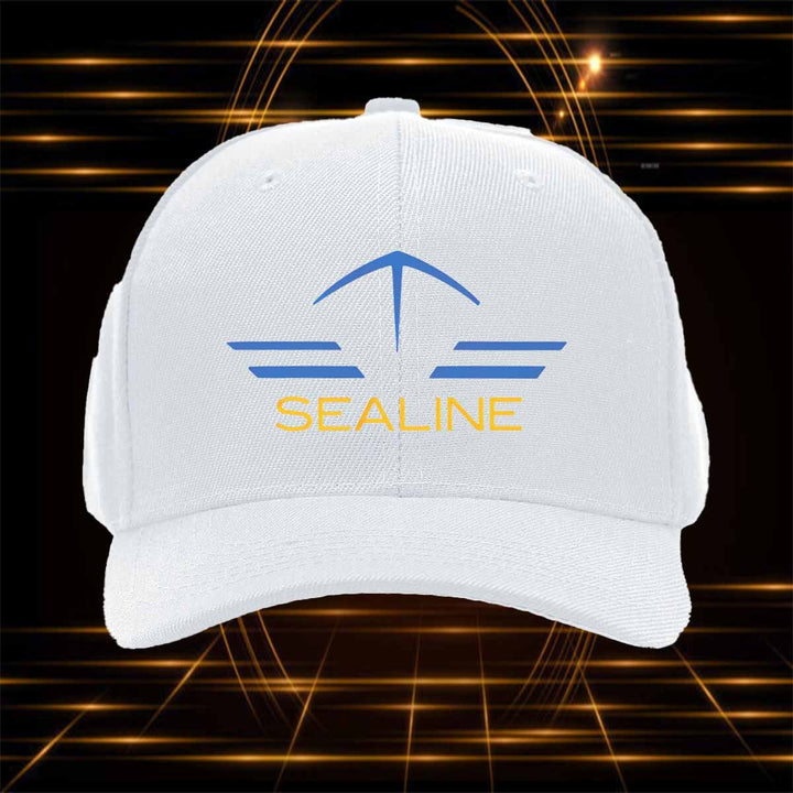 Gorra de Béisbol Unisex para Hombres y Mujeres - Gorra de Camionero Ajustable con Visera Curva, Textura Negra Resistente, Gorra Casual Duradera para Conducir, Camionaje, Juegos (Lavable a Mano)