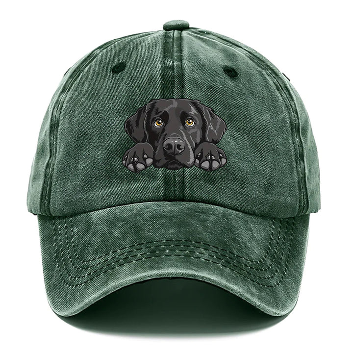 1 Gorra de béisbol con estampado de Labrador Retriever - Gorra snapback ligera, transpirable y ajustable con visera curva, aspecto lavado para mujeres y hombres, regalo de cumpleaños para amantes de los perros